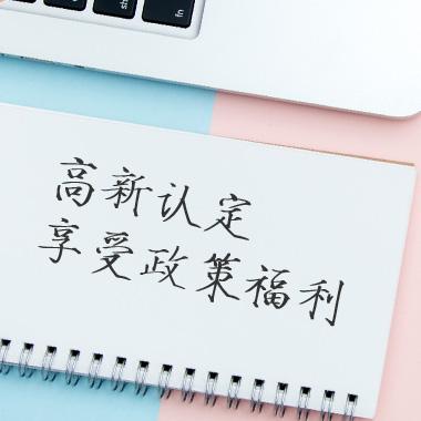 双软企业评估及认定