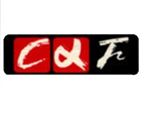 高新企业认定成功案例