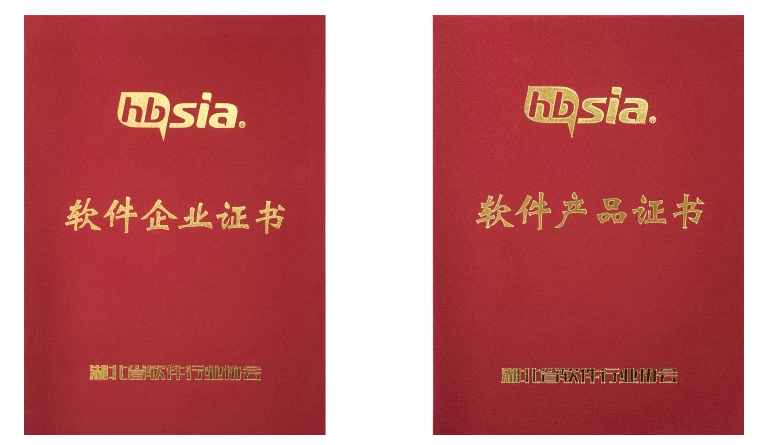 湖北省武汉市双软评估证书样式