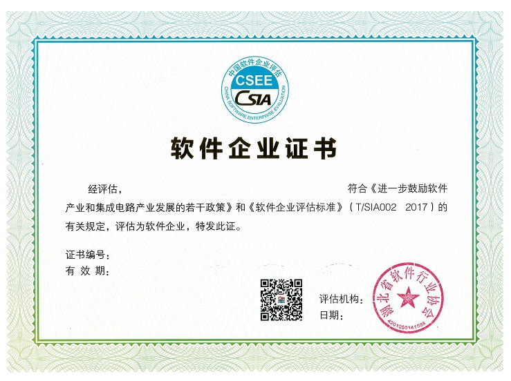 湖北省武汉市双软评估证书样式